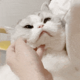 280_280gif 动态图 动图