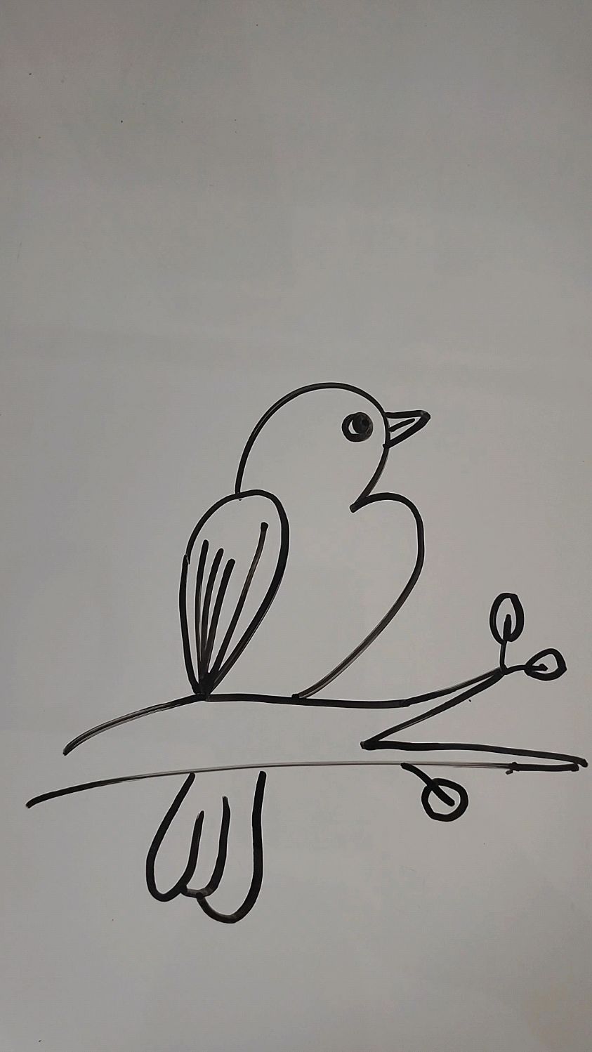 简笔画教程——用数字3和2画一只小鸟