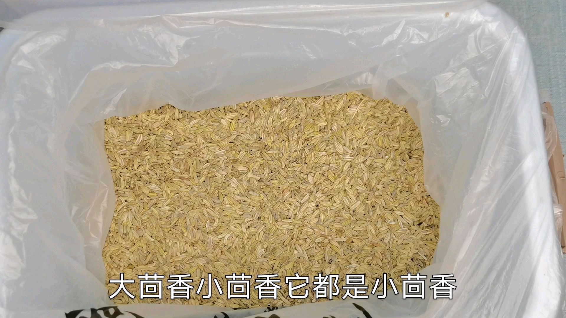 大茴香跟小茴香是同一种香料吗?很多人都不知道!今天告诉你真相