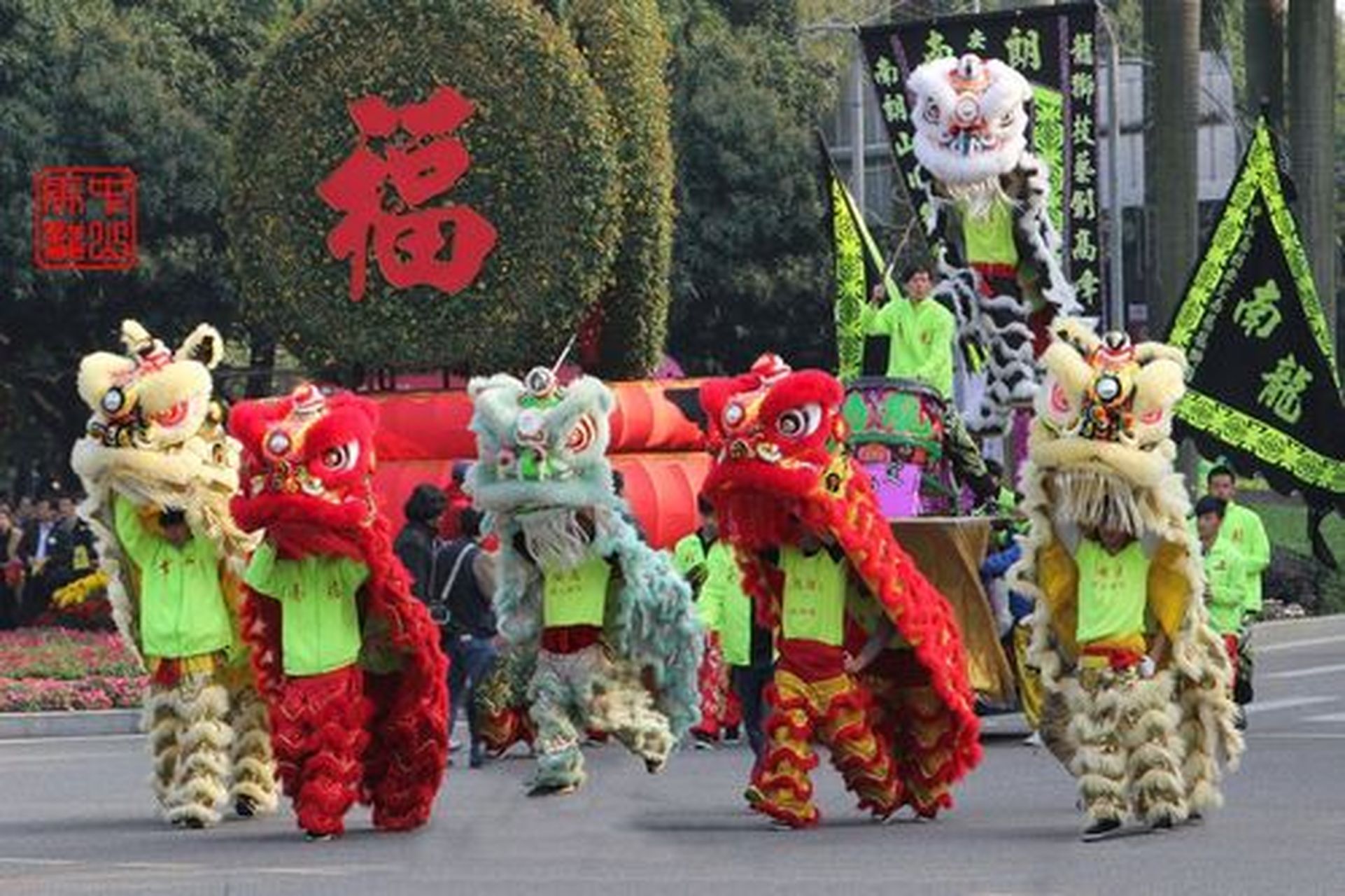 昆明舞狮队151x2333x2322开业舞狮醒狮舞龙梅花桩舞狮乔迁舞狮表演