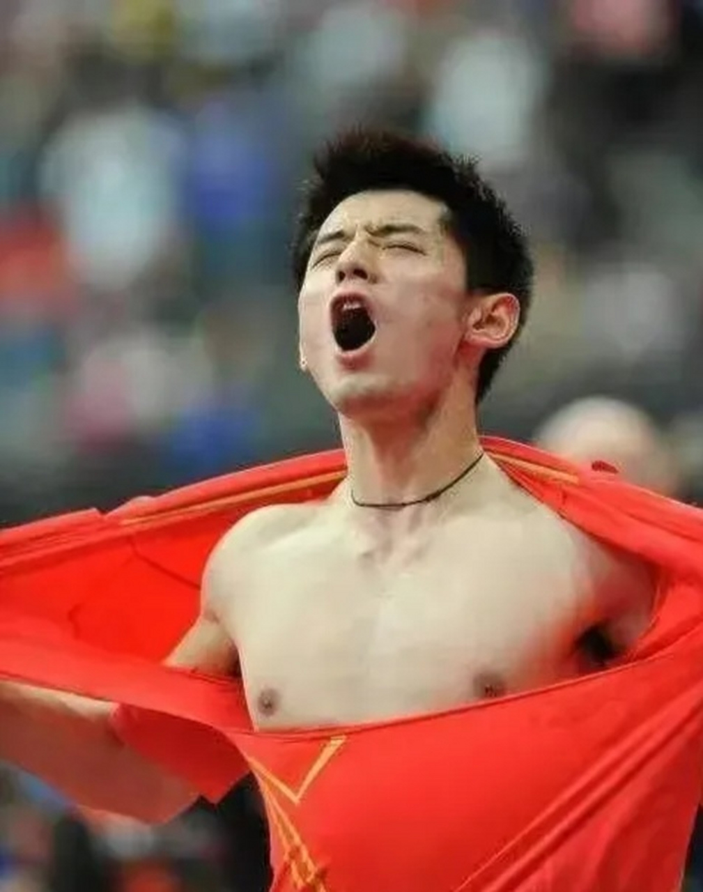 张继科优点:帅,心理过硬,乒乓球战绩显赫,被刘国梁成为"藏獒"绝对名