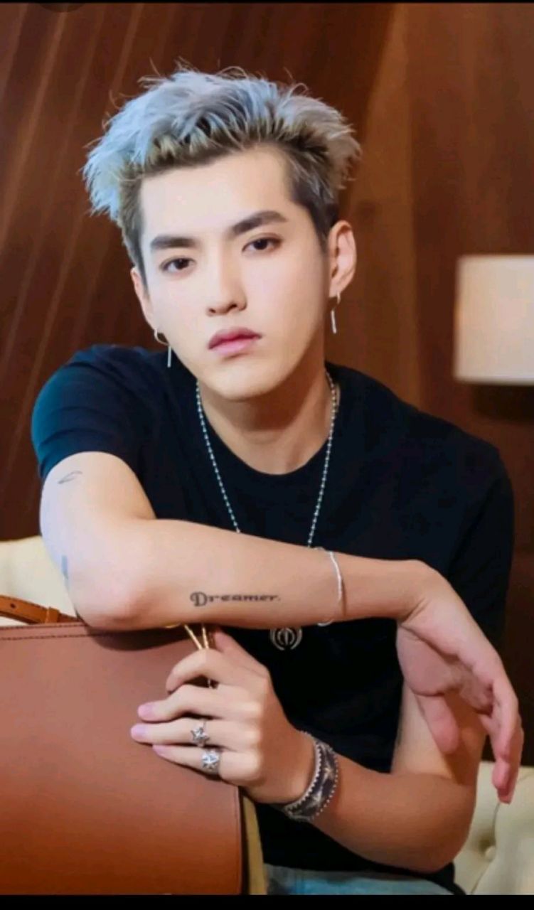 吴亦凡,华美少年,能歌能演,可惜品行不端,强奸罪,聚众淫乱罪被判入狱