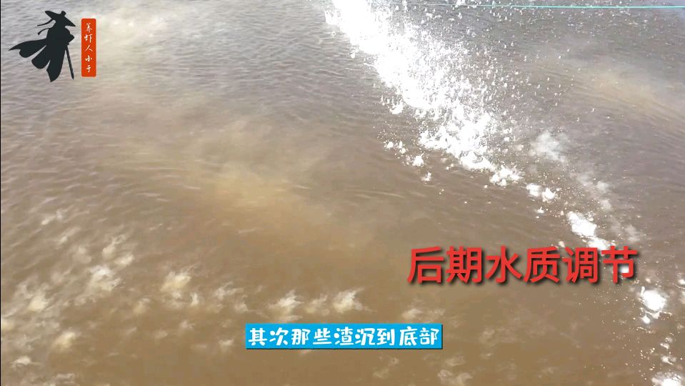 南美白对虾养殖,后期水质应该如何管理?需要注意什么?