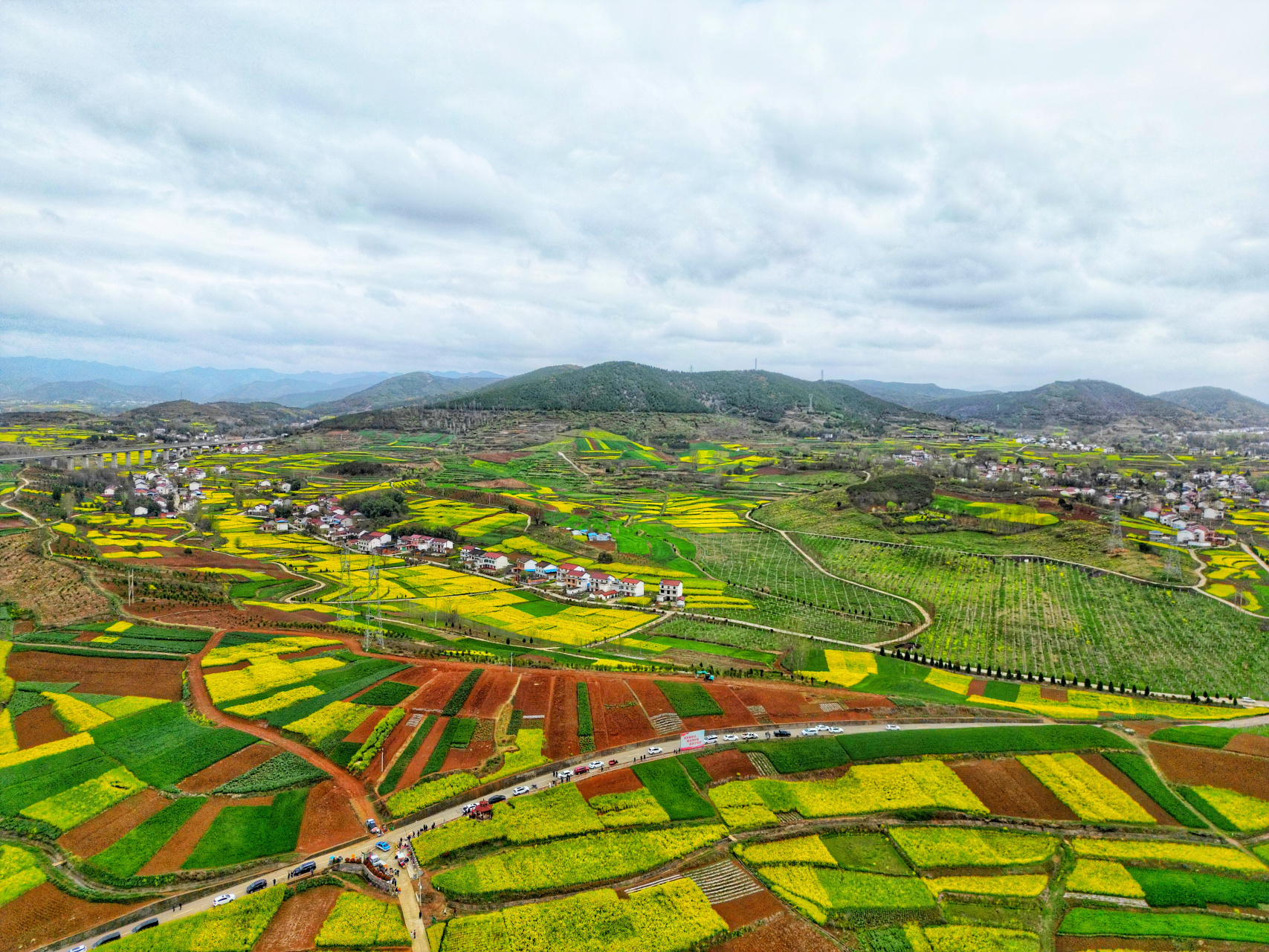 陕西汉中洋县油菜花太美了,西安去一天往返,太方便了,春天的调色盘