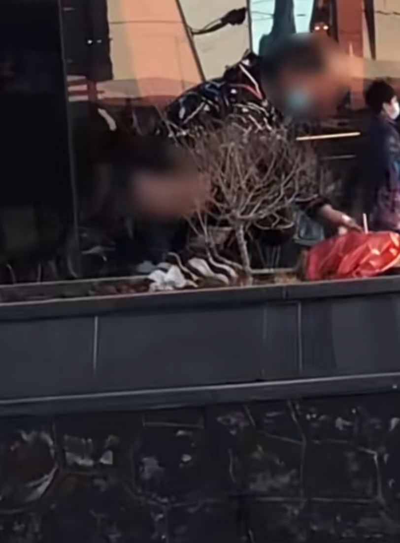 一男子在商场外随地大小便的视频走红,网友的评论亮了