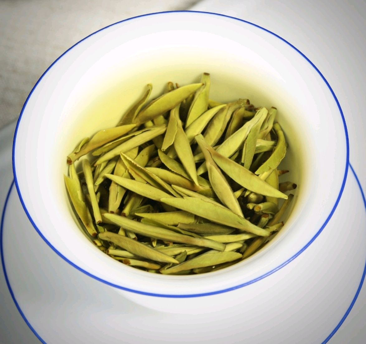 白茶中的极品白毫银针,福建历史名茶