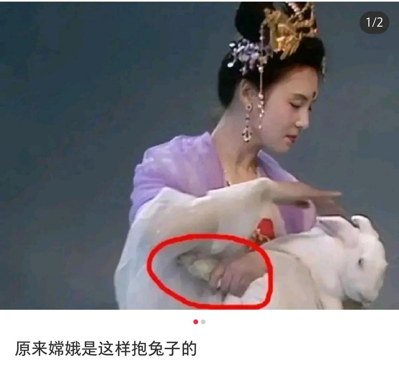 哈哈,笑死我了,原来嫦娥是这样抱兔子的