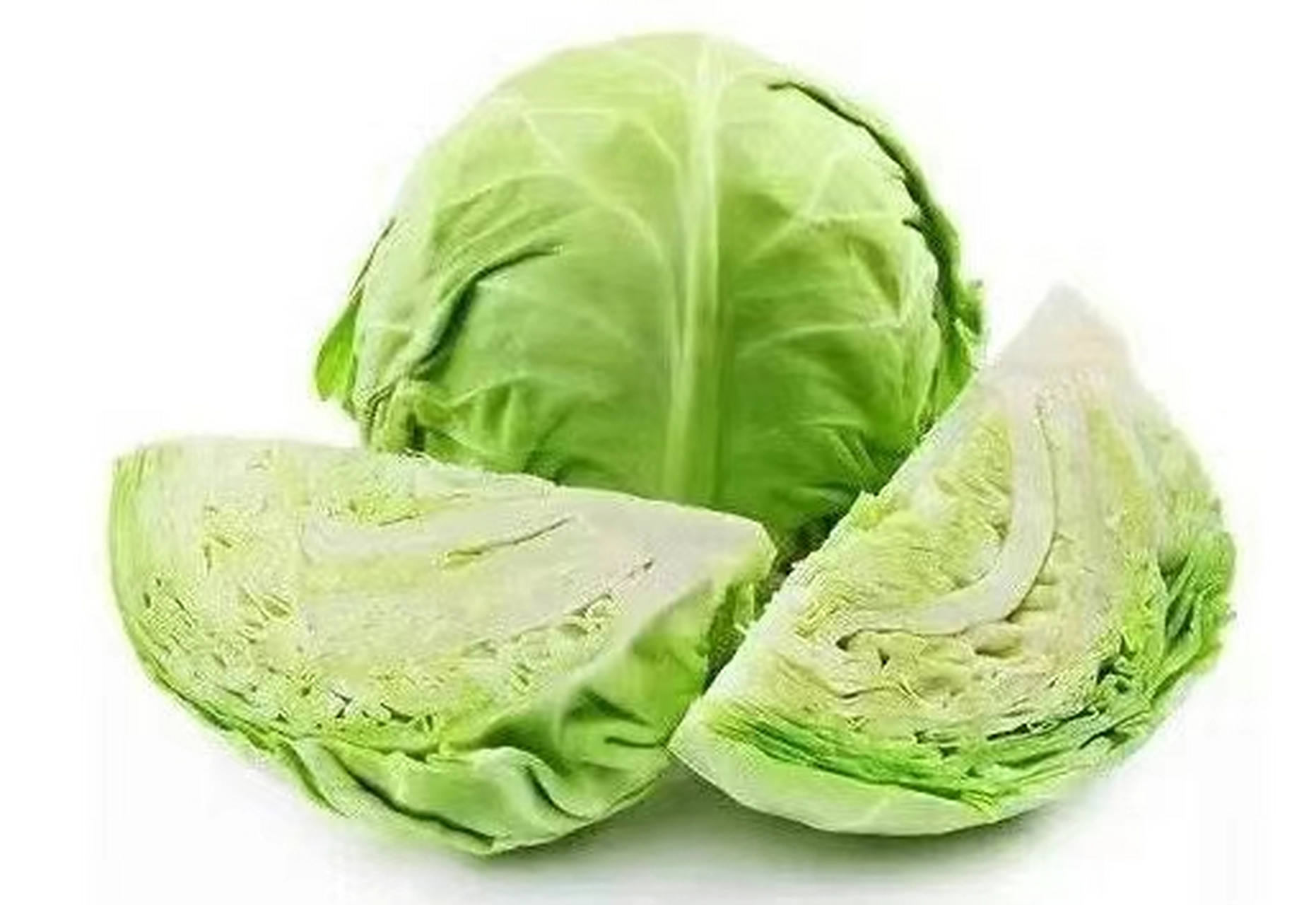 圆白菜的营养价值 1.