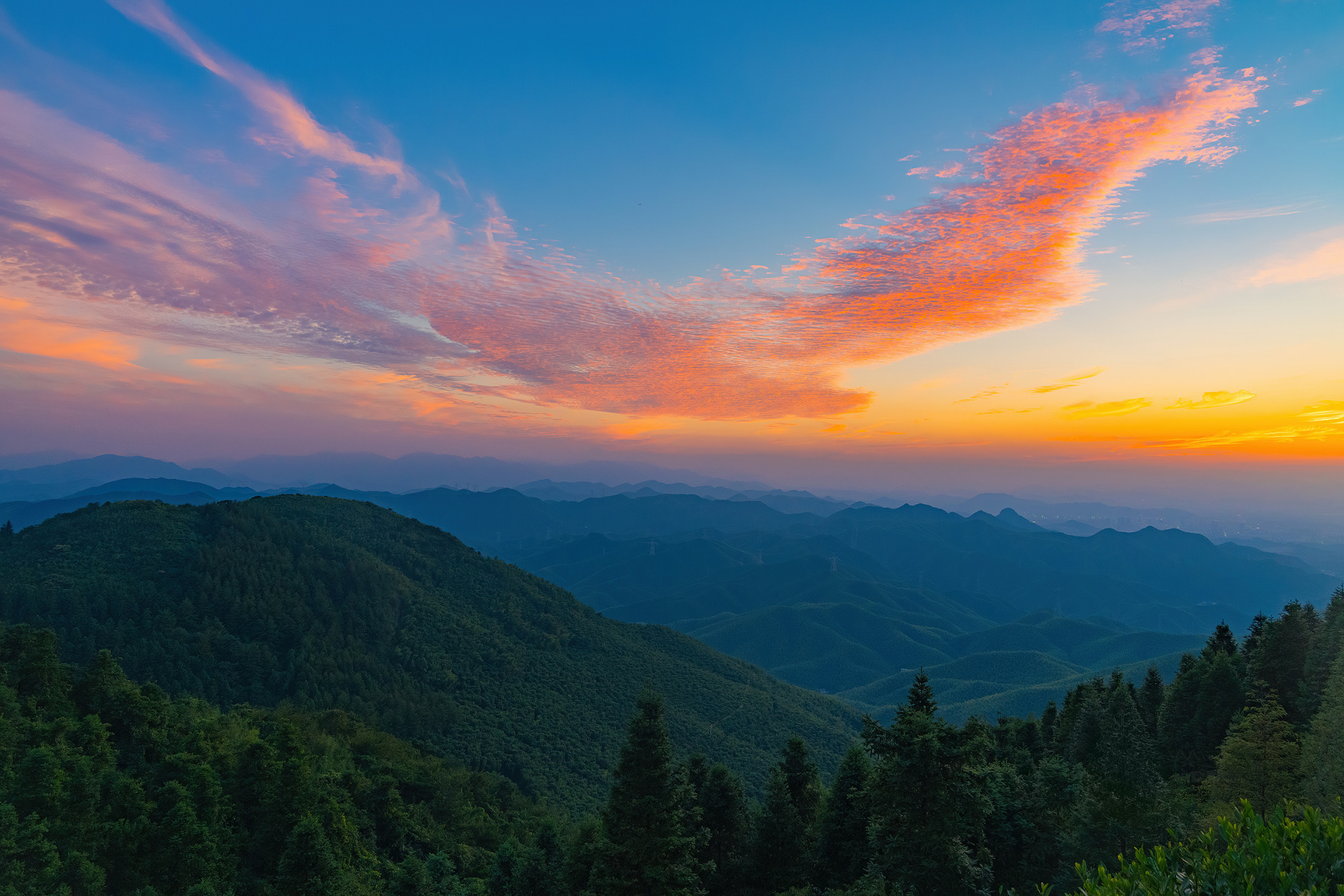 傍晚的天泉山上,飞来一只火凤凰[爱你]