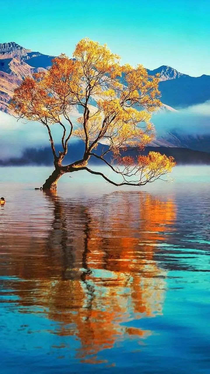 百万创作者计划# 时光掠过深秋的眉鬓,步入斑斓五彩的秋韵中,惬意