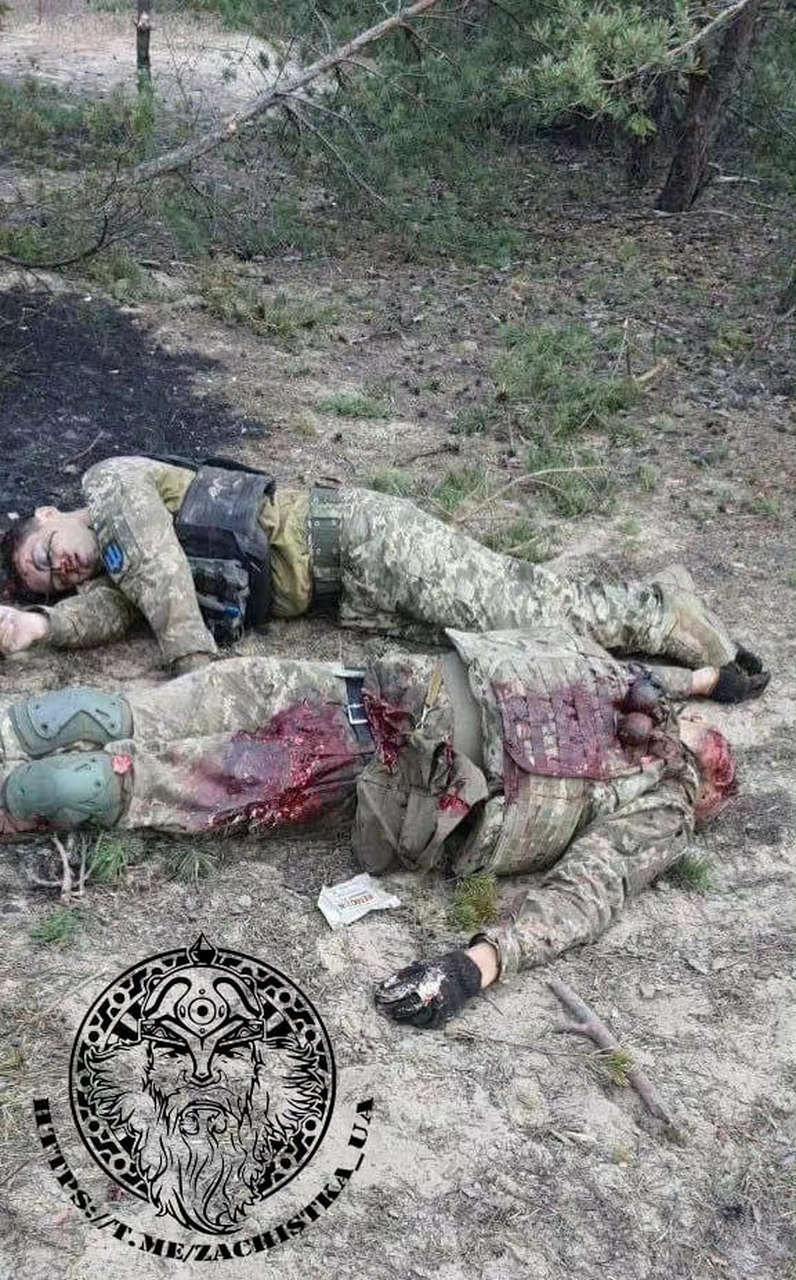 据说是在阿特木附近被打死的美军/北约换皮人.