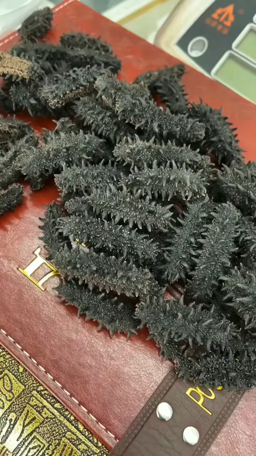 俄罗斯特级红参,六排刺纯淡干海参,无添加