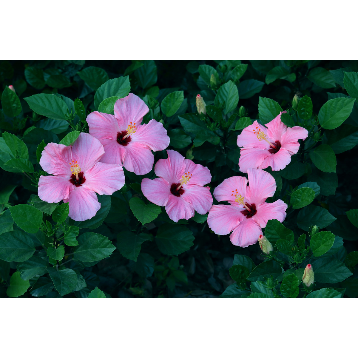 好的选择是一种重要的能力,能让人生迅速开挂