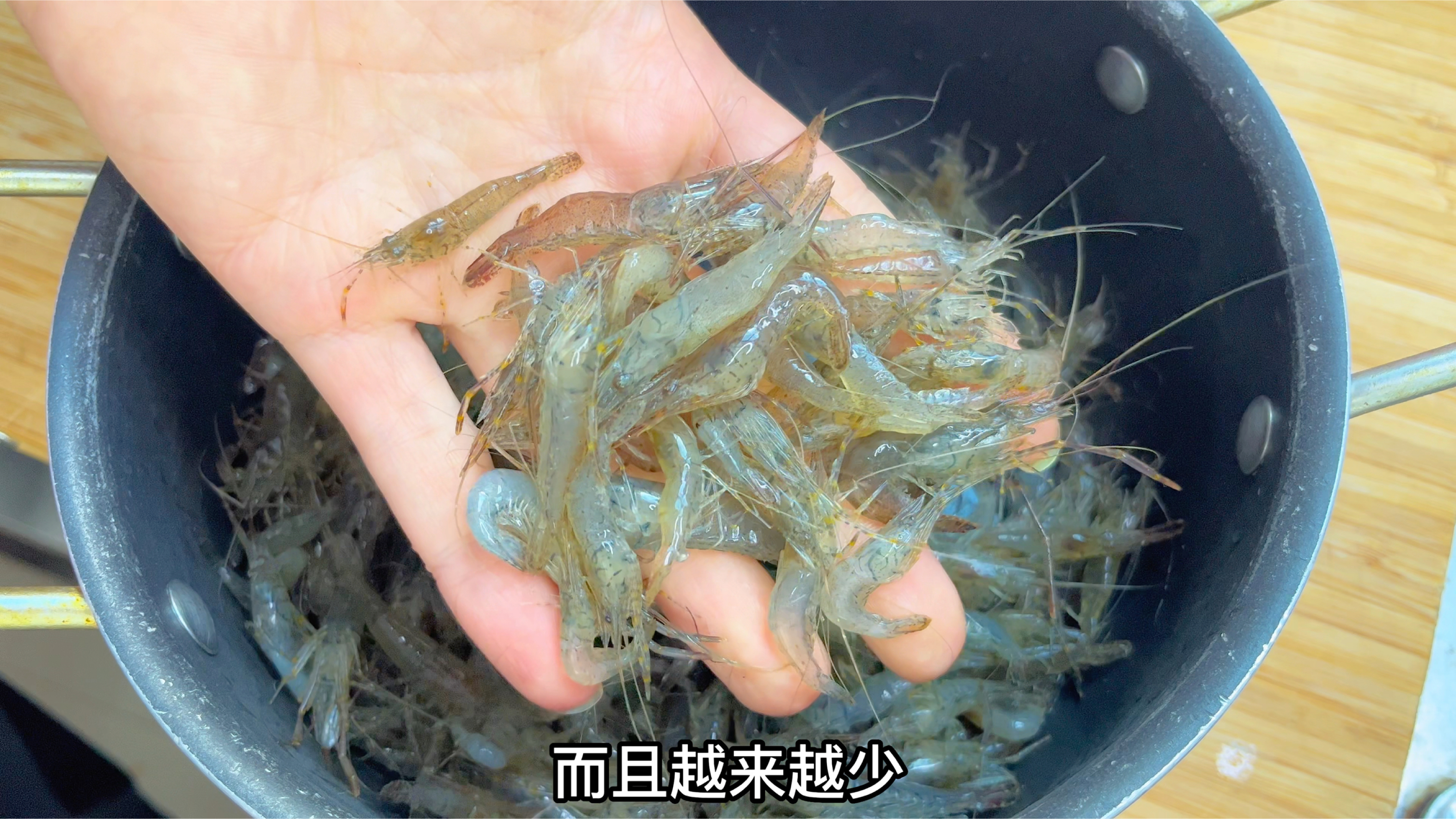 现在河虾越来越少看到,今天买了些分享炸河虾,放久不回软