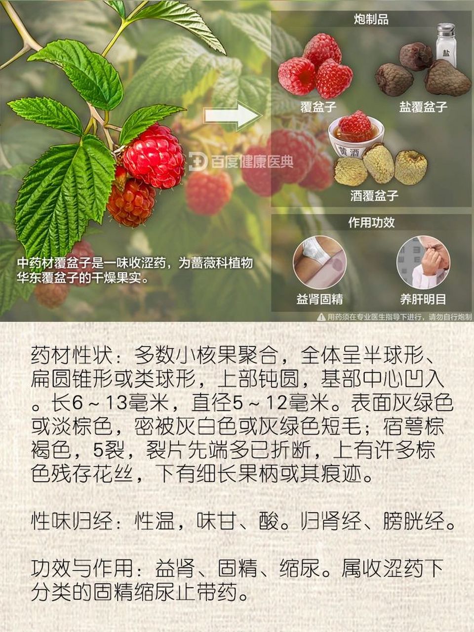 每天认识一味中草药-覆盆子| 中药名:覆盆子 别名:乌藨子,覆盆,小托盘