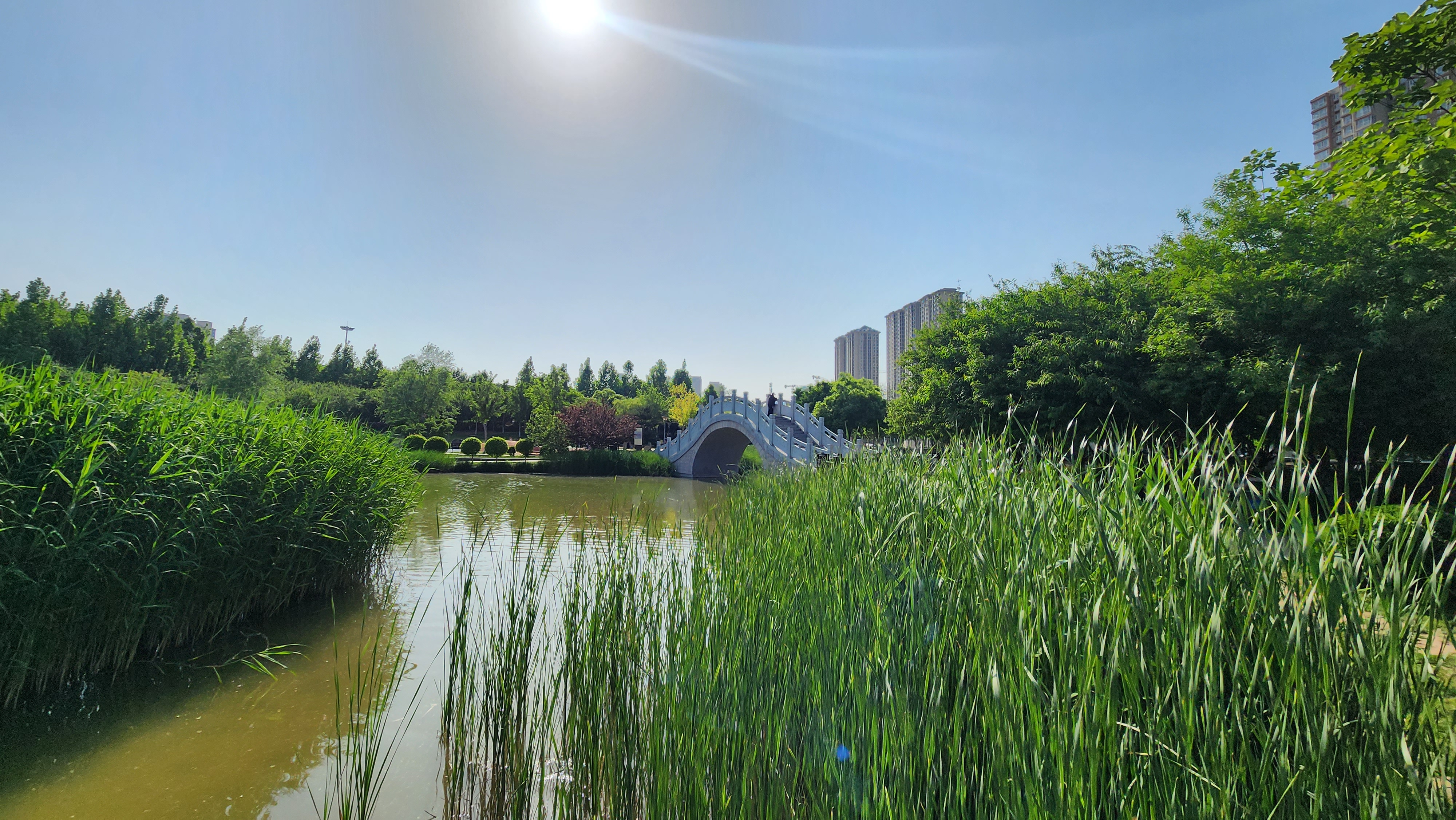 石家庄市西环公园