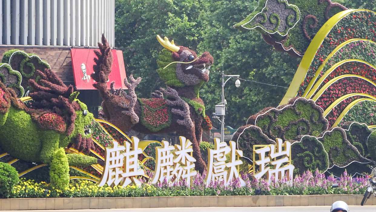 《麒麟蕨瑞庆千祥》曲靖麒麟花园全新地标性立体绿雕建成