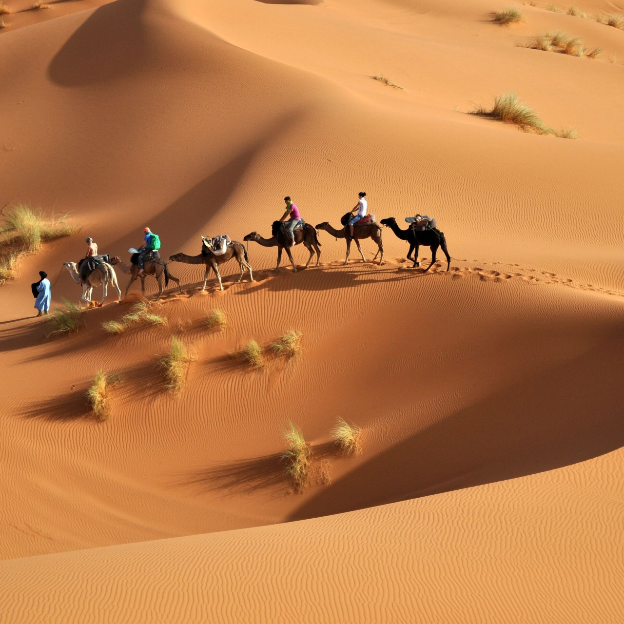 撒哈拉沙漠,看着很唯美,切身去穿越体验?想想都不敢.[苦笑]