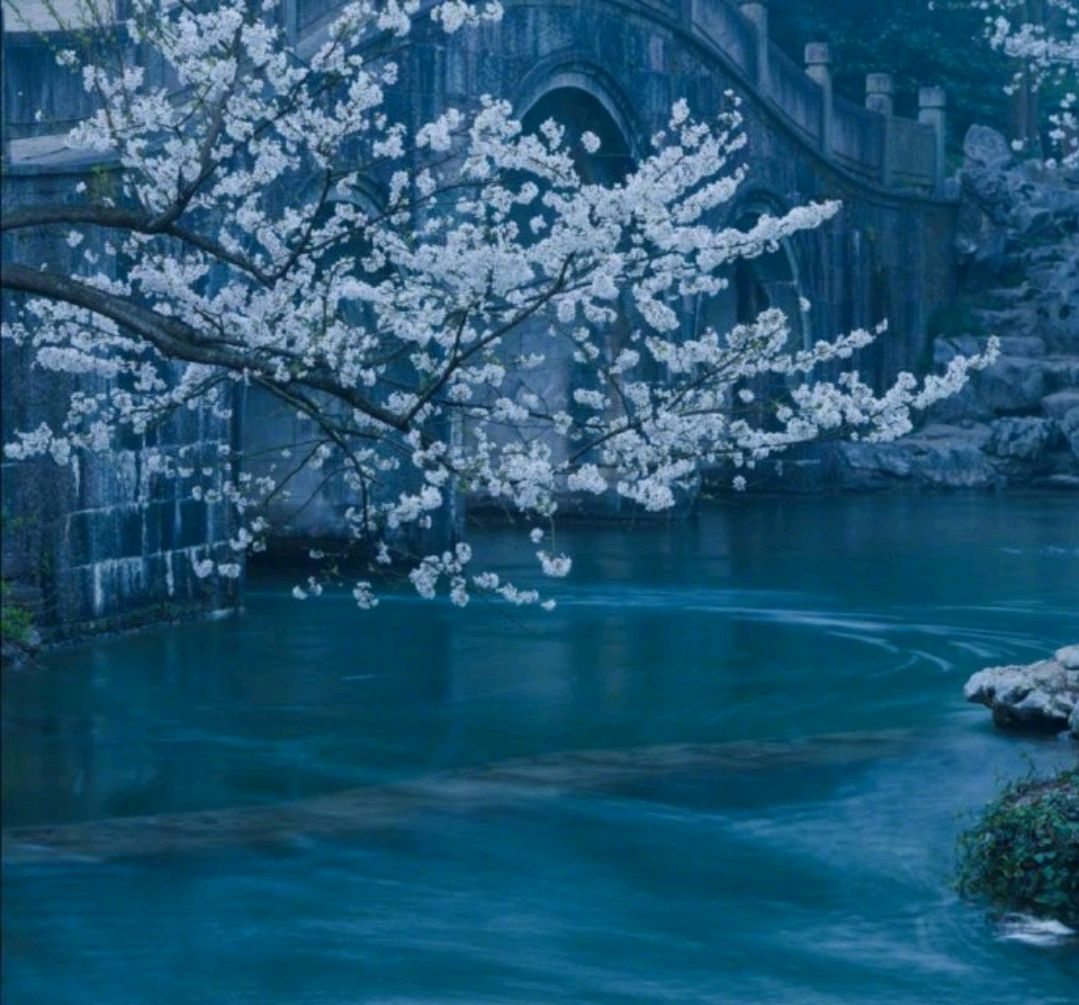 李重元:雨打梨花深闭门!