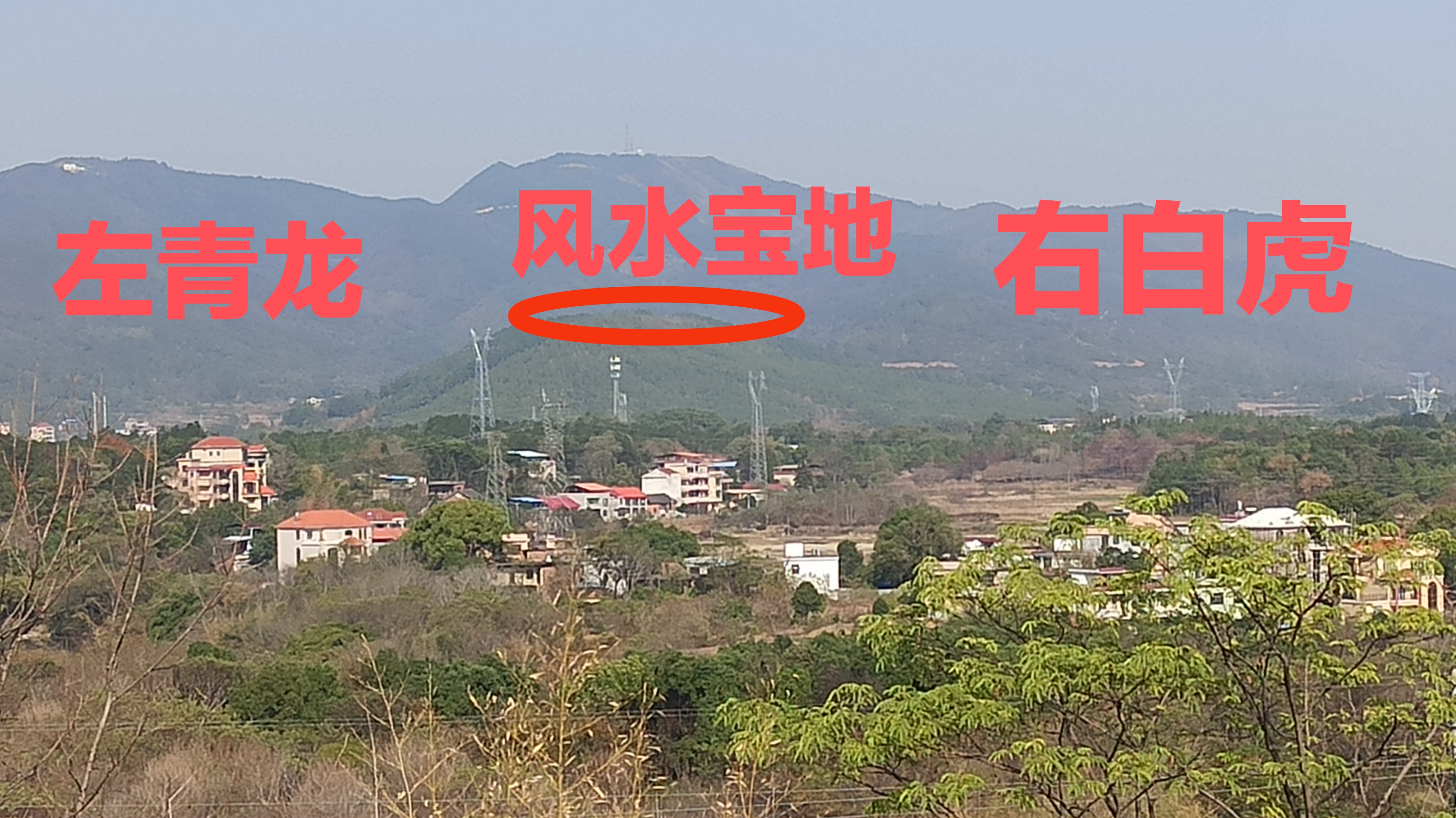 坟墓左青龙右北虎图片图片