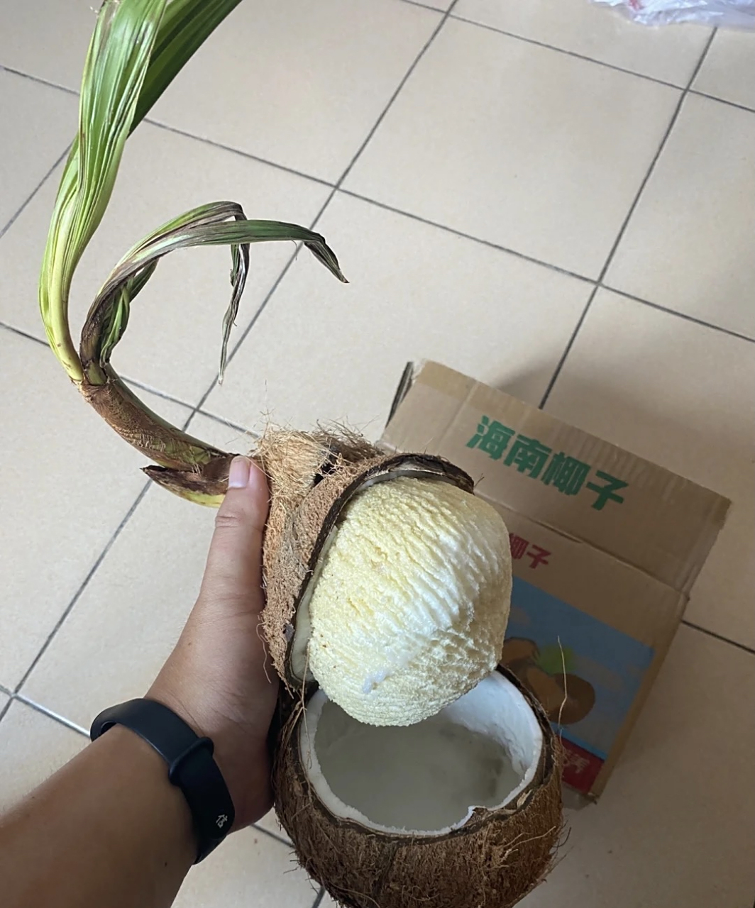 椰宝吃起来真的就像微甜的泡沫吗? 不是听说很美味吗?