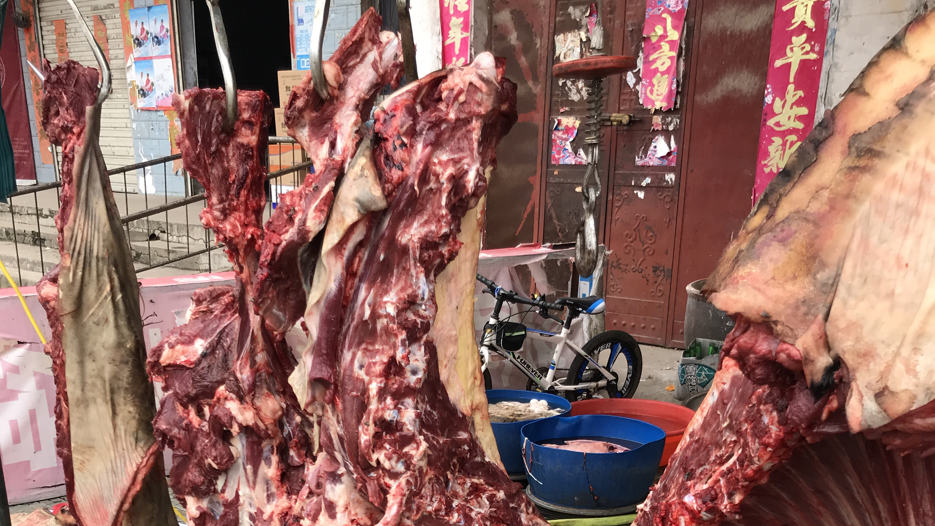 河南南阳的新鲜驴肉多少钱一斤?宰一头驴能赚多少钱?