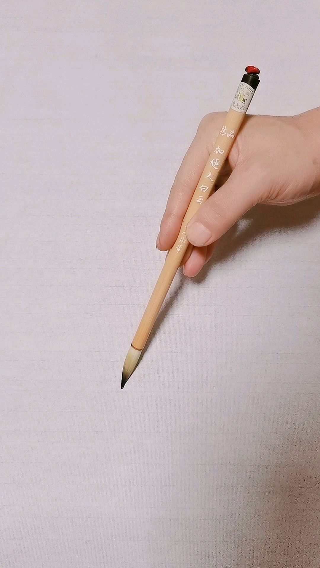 简单易学的鱼儿画法