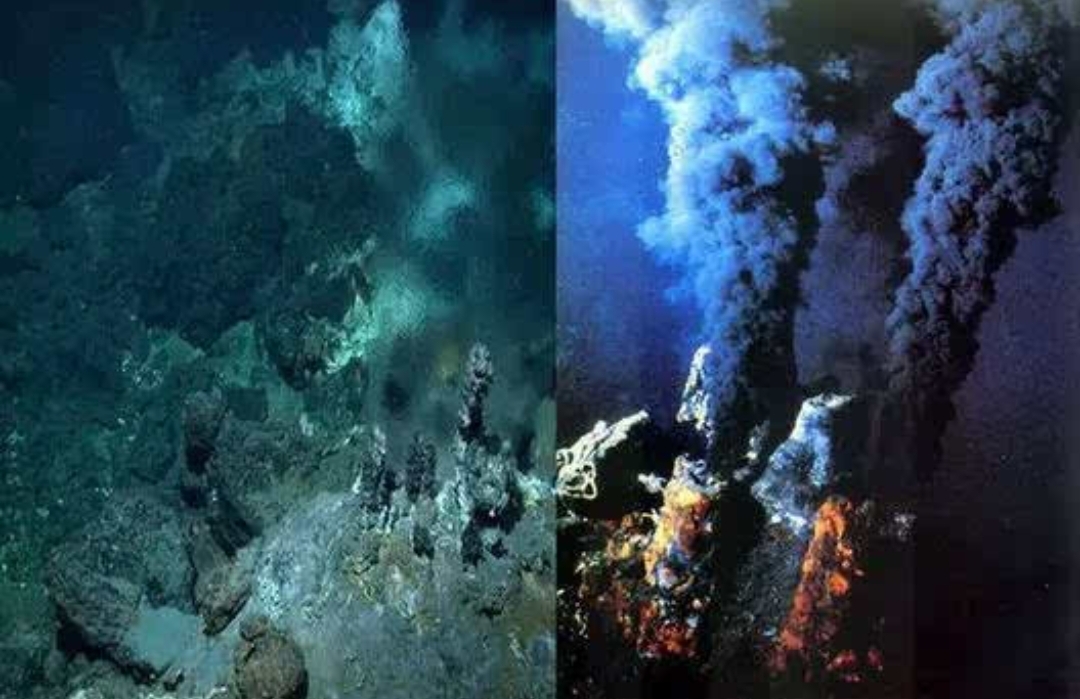冷泉生物群和热液生物群是一样的吗?