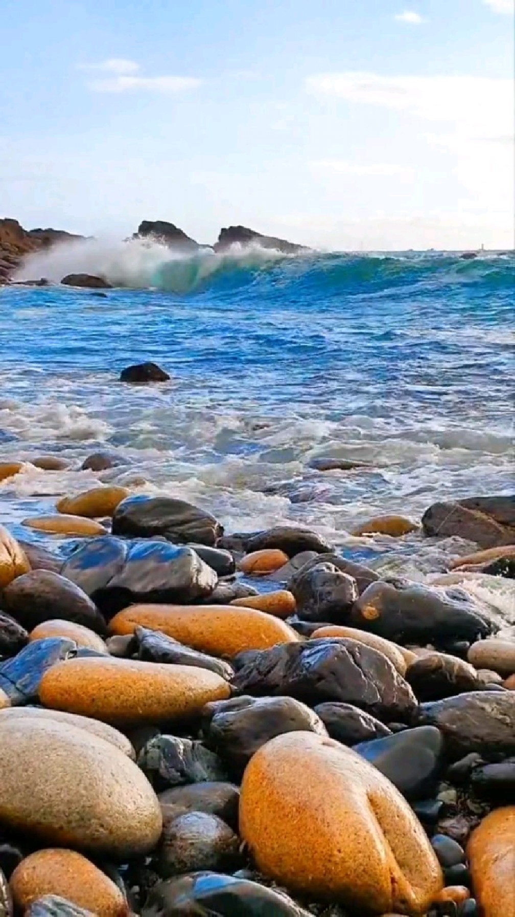 大海的涛声,可以掩盖人世间的喧嚣吗?