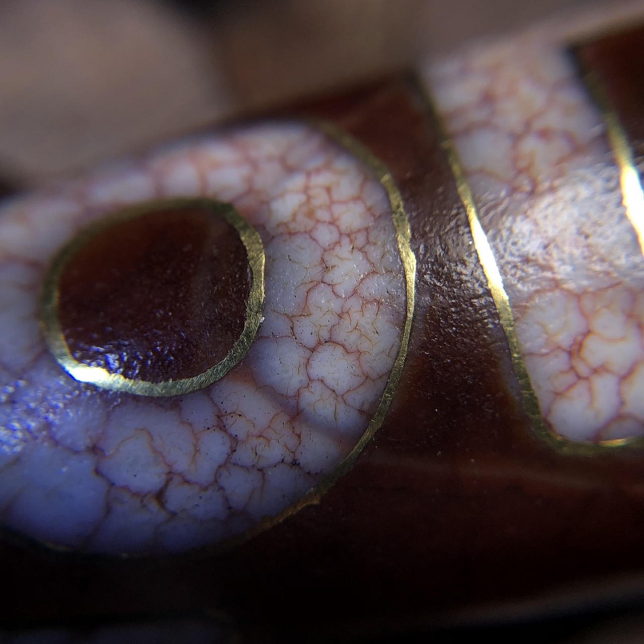 藏区回流老料高油包浆镶嵌金丝血丝【天地天珠】 尺寸约:41*19毫米