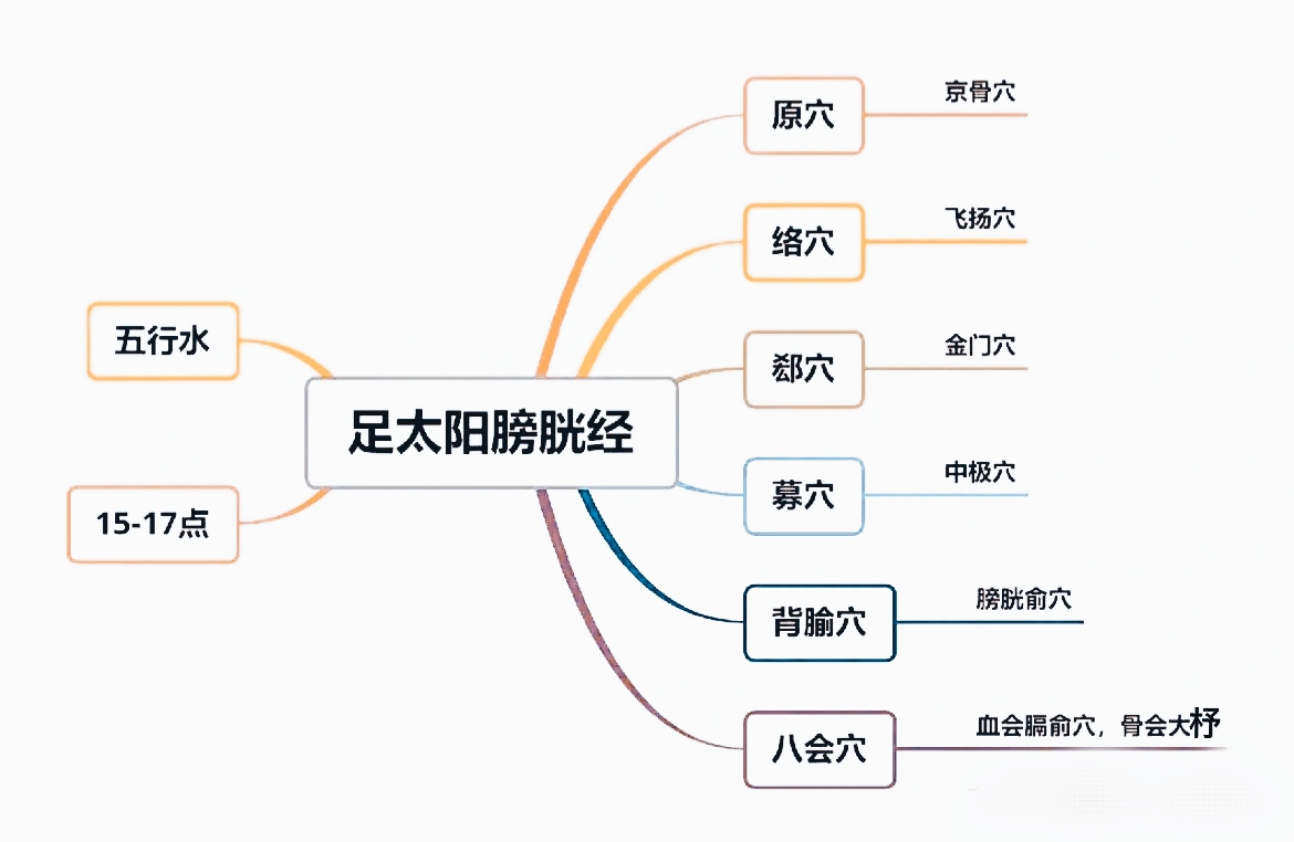 足太阳膀胱经的原络郄募背腧及八会穴