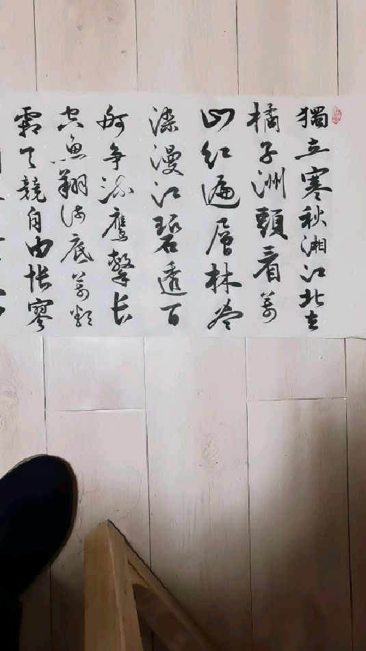 书生意气,挥斥方遒 | 陈洪标行草小长卷