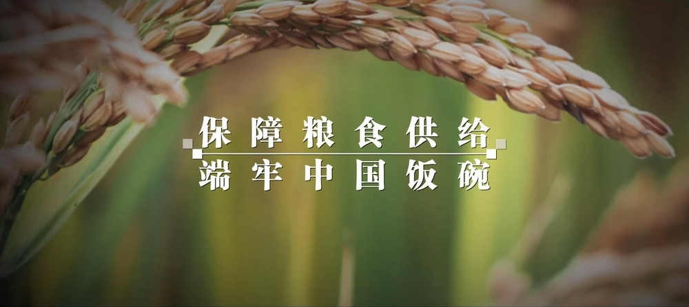 14亿多人的饭碗端得稳、端得牢