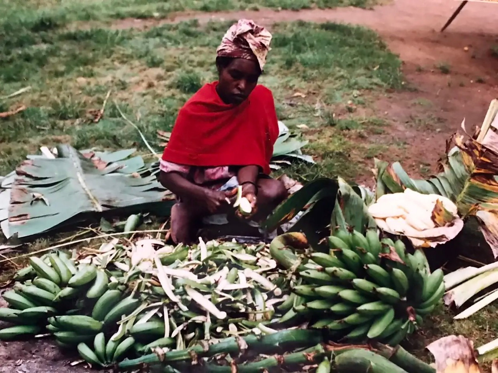 这不是香蕉,这是饭蕉,东非一些人当做主食吃的.