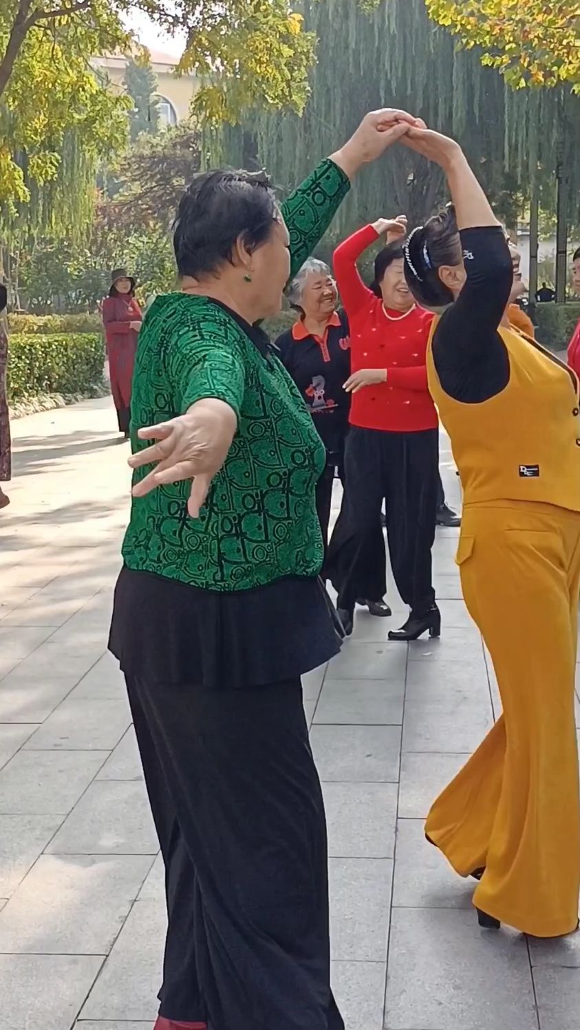 广场舞大妈们舞的真精彩