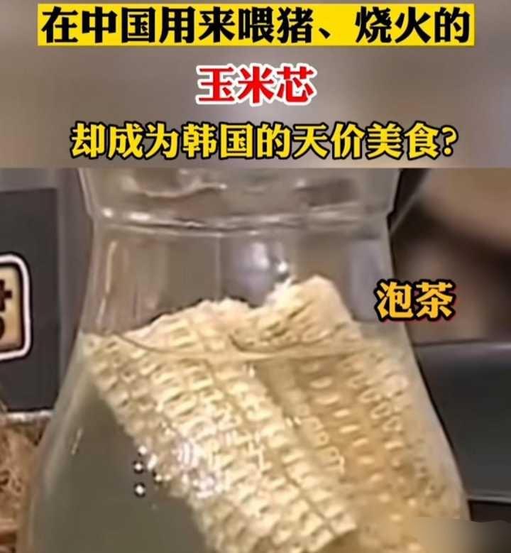 盘点那些令人发笑的图片:我都在开导你了,希望你不要恩将仇报!