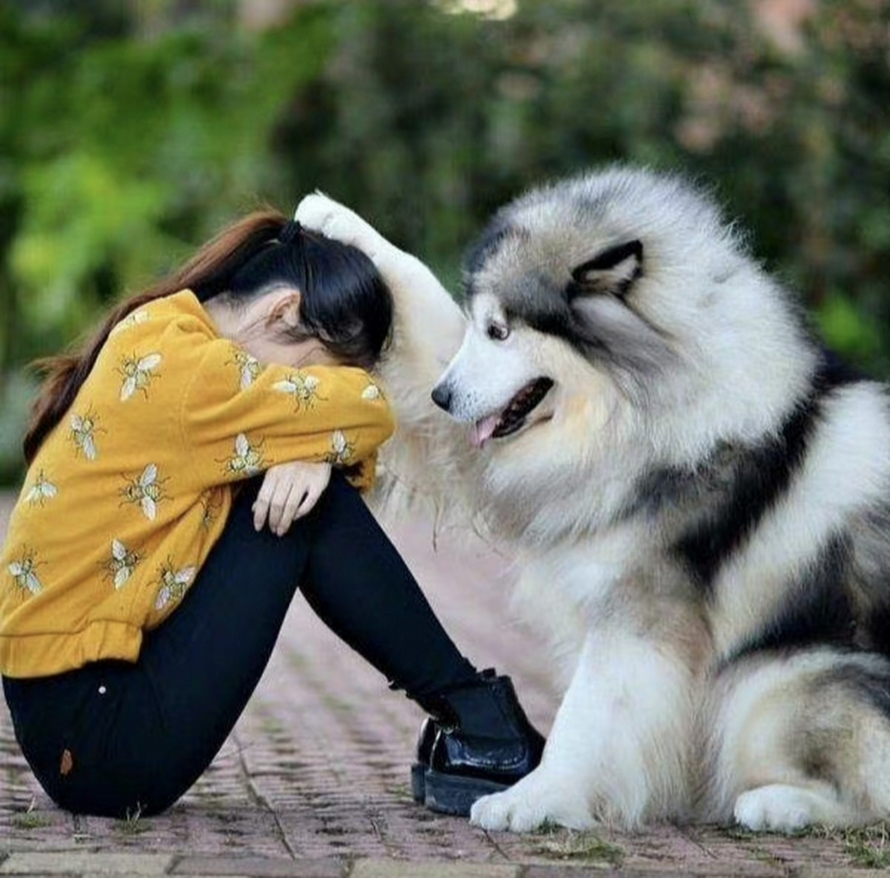 主人有我在,你要快点振作起来!