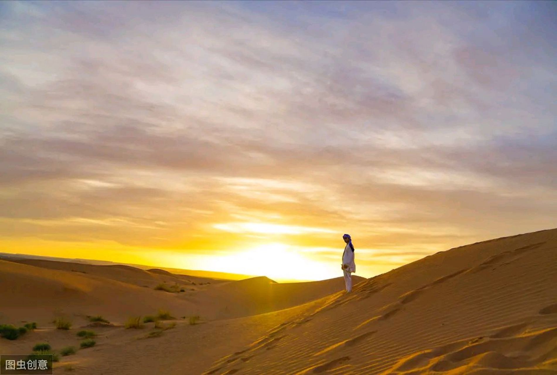 作家三毛25句经典语录,写作必备!