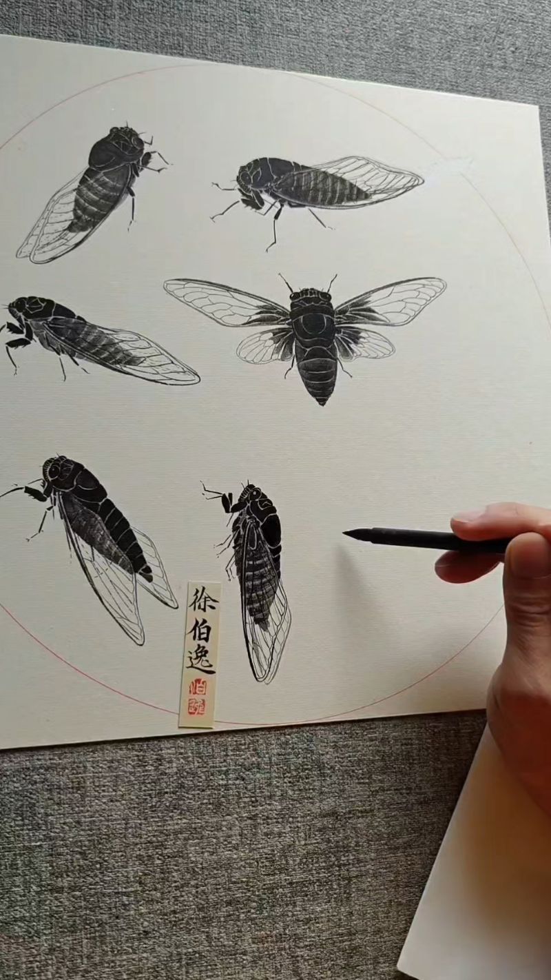 这样画知了简单多了