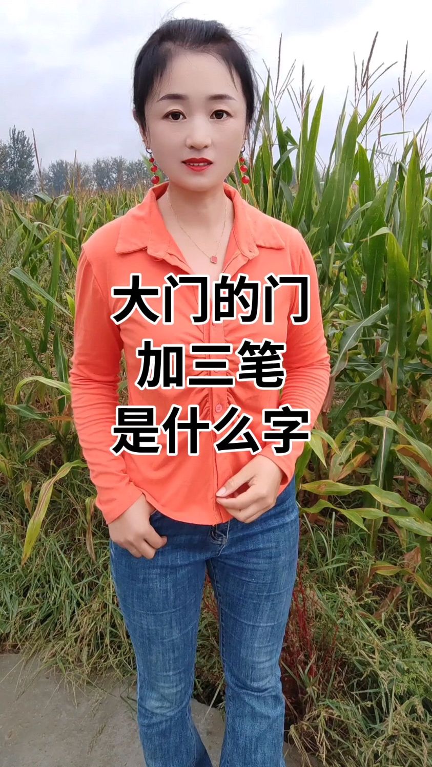 大门的门加三笔是什么字