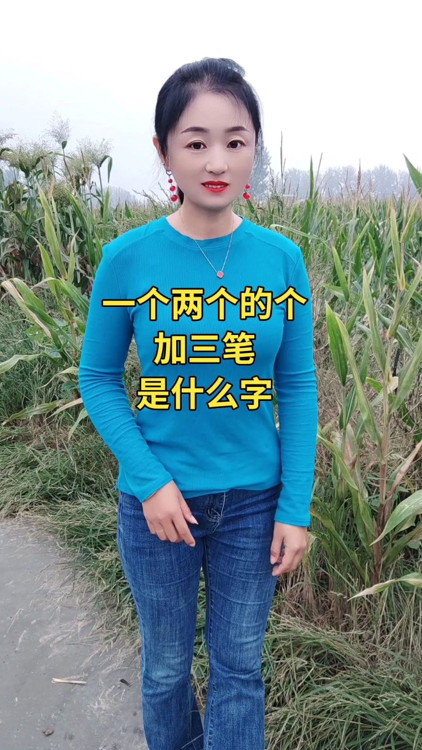 一个两个的个加三笔是什么字