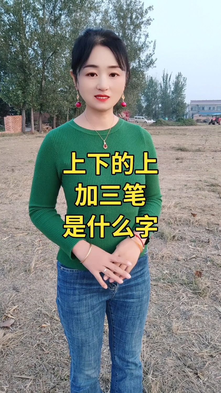 上下的上加三笔是什么字