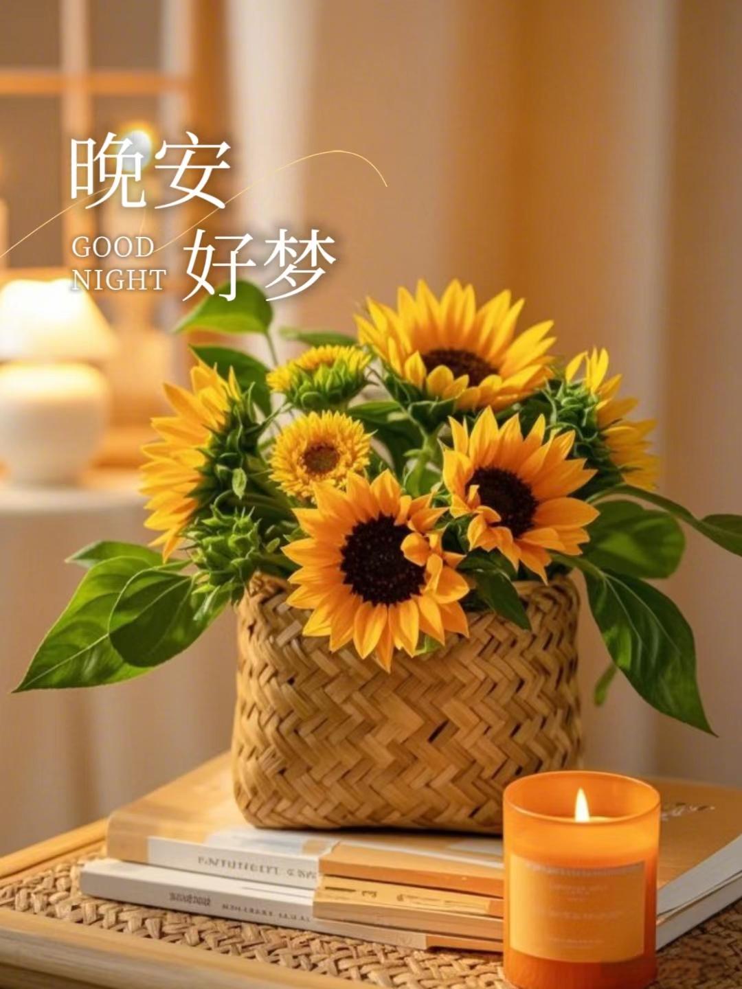 2021晚安励志朋友圈句子(晚安朋友圈励志语)