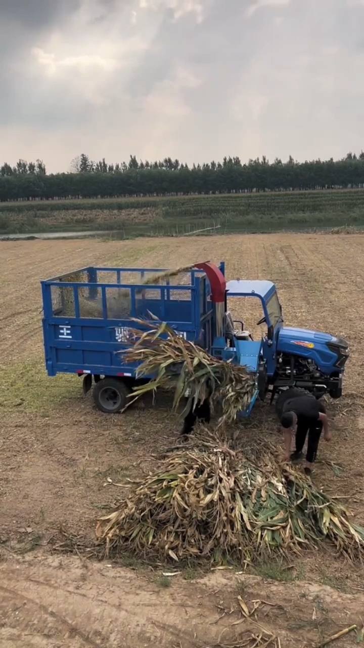 自制简易牛羊铡草机图片