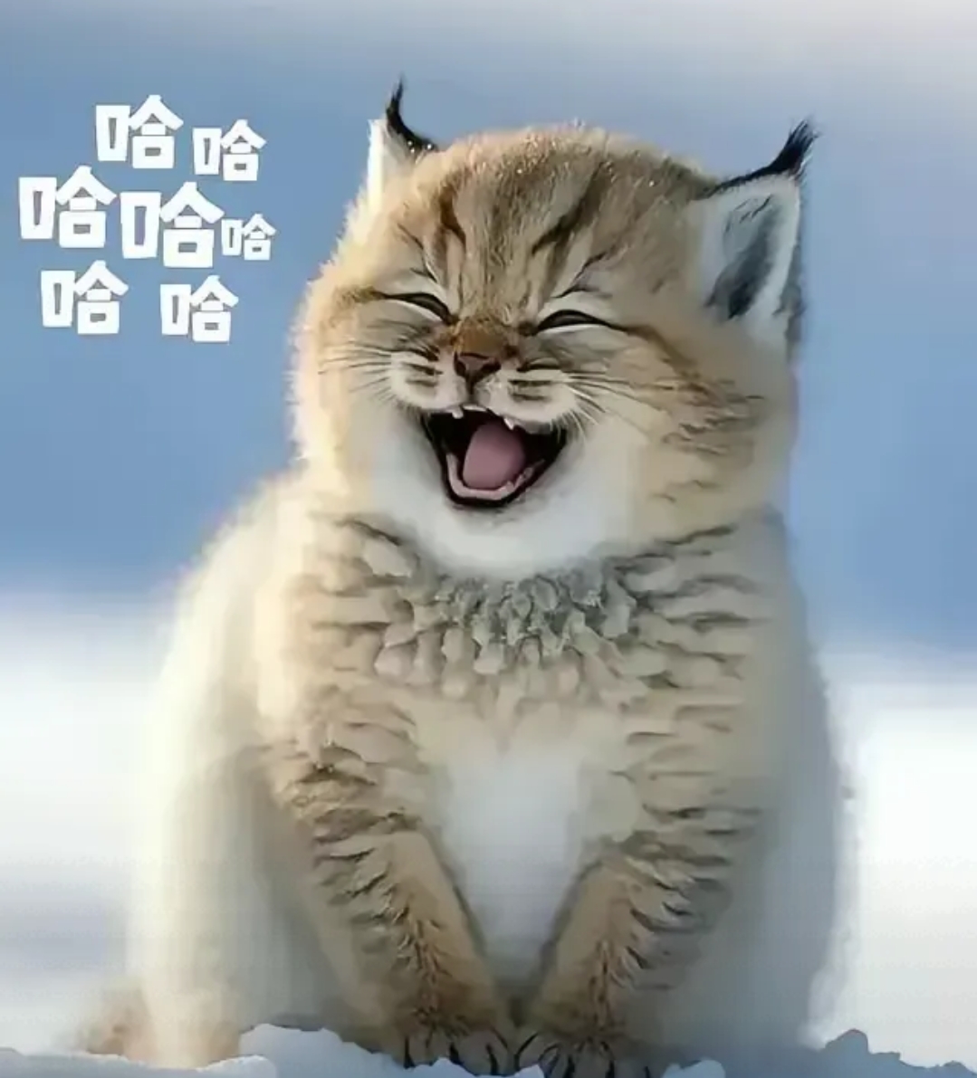 关于机构改革与公务员精简: