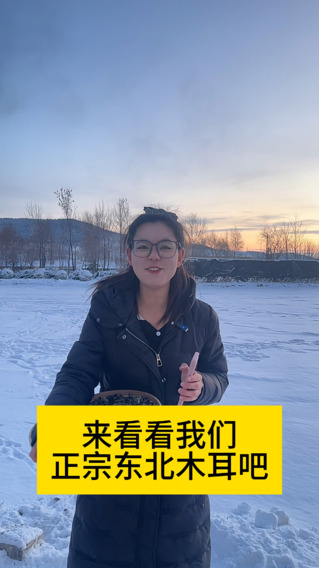 东北大雪纷飞啦!为啥东北木耳好吃,昼夜温差大,木耳口感好