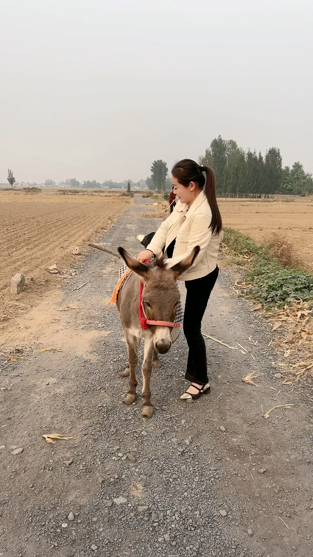 骑驴图片怎么都让人说图片