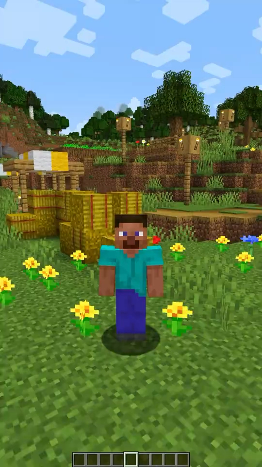 史蒂夫秀一下绝技!