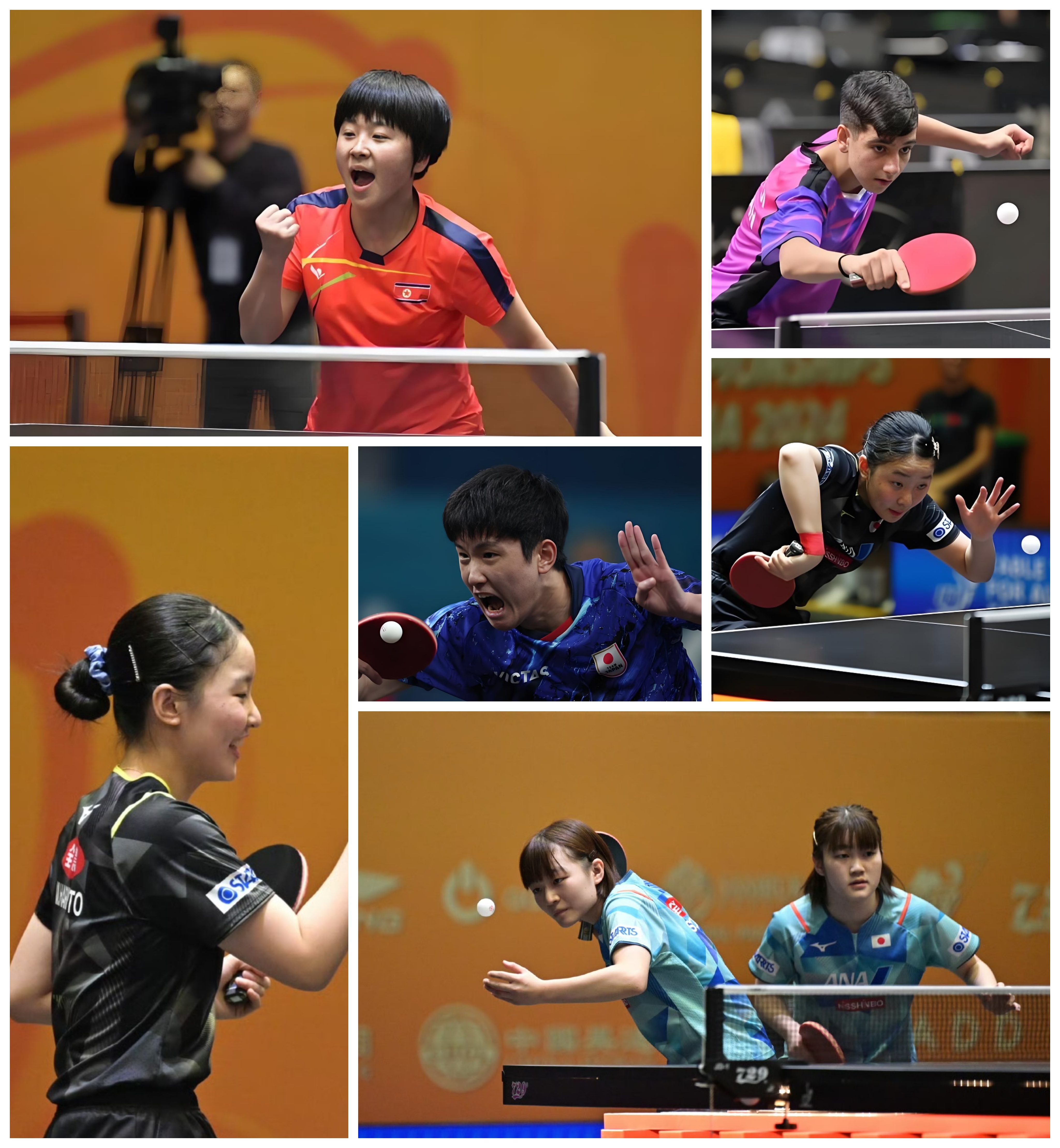 乒乓球世 界杯三四 名比赛相关图片2