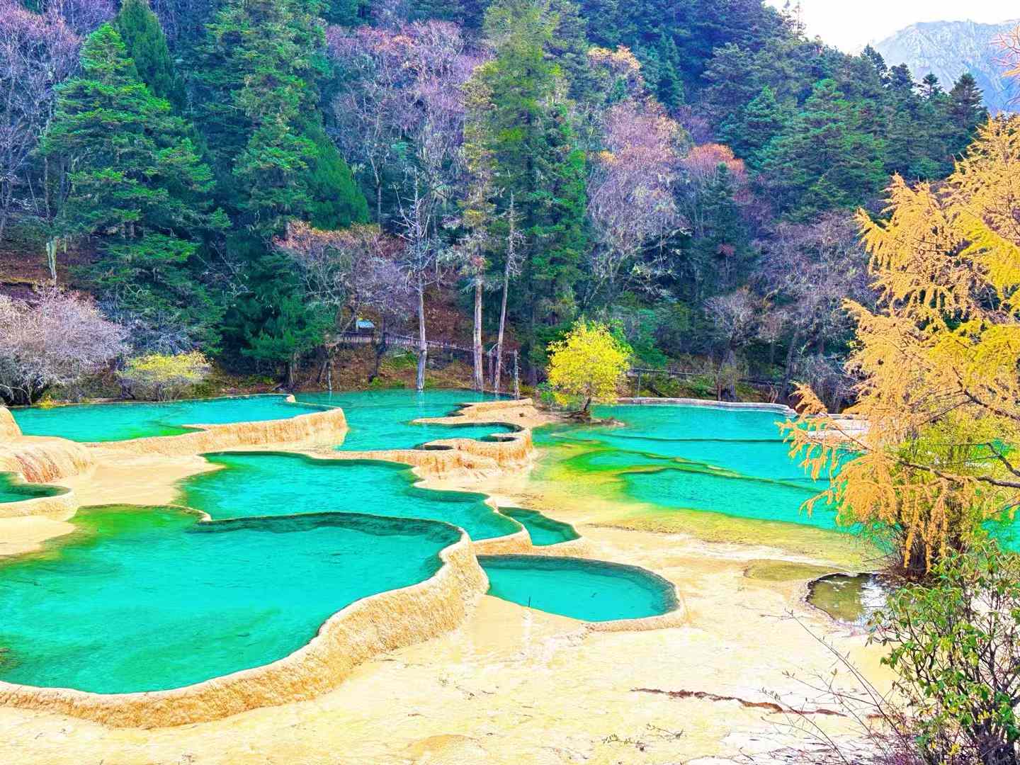 站在黄龙之巅,俯瞰黄龙的"海".